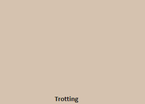Paint-Trotting